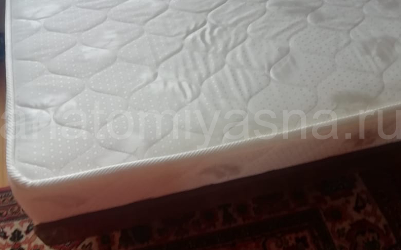 отзыв о Матрас Dimax Оптима Премиум